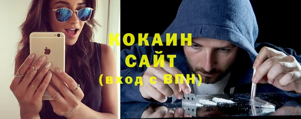 хмурый Дмитриев