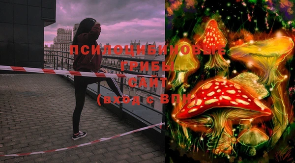MDMA Premium VHQ Дмитровск