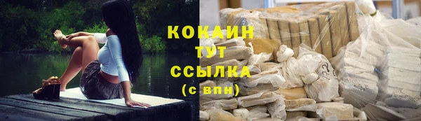 хмурый Дмитриев