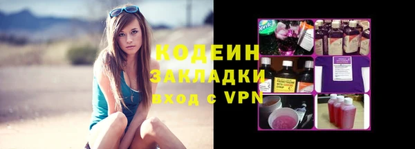 индика Елабуга