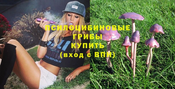 хмурый Дмитриев