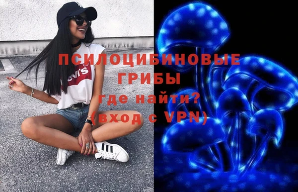хмурый Дмитриев