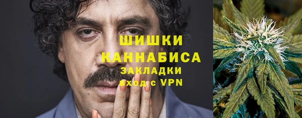 хмурый Дмитриев